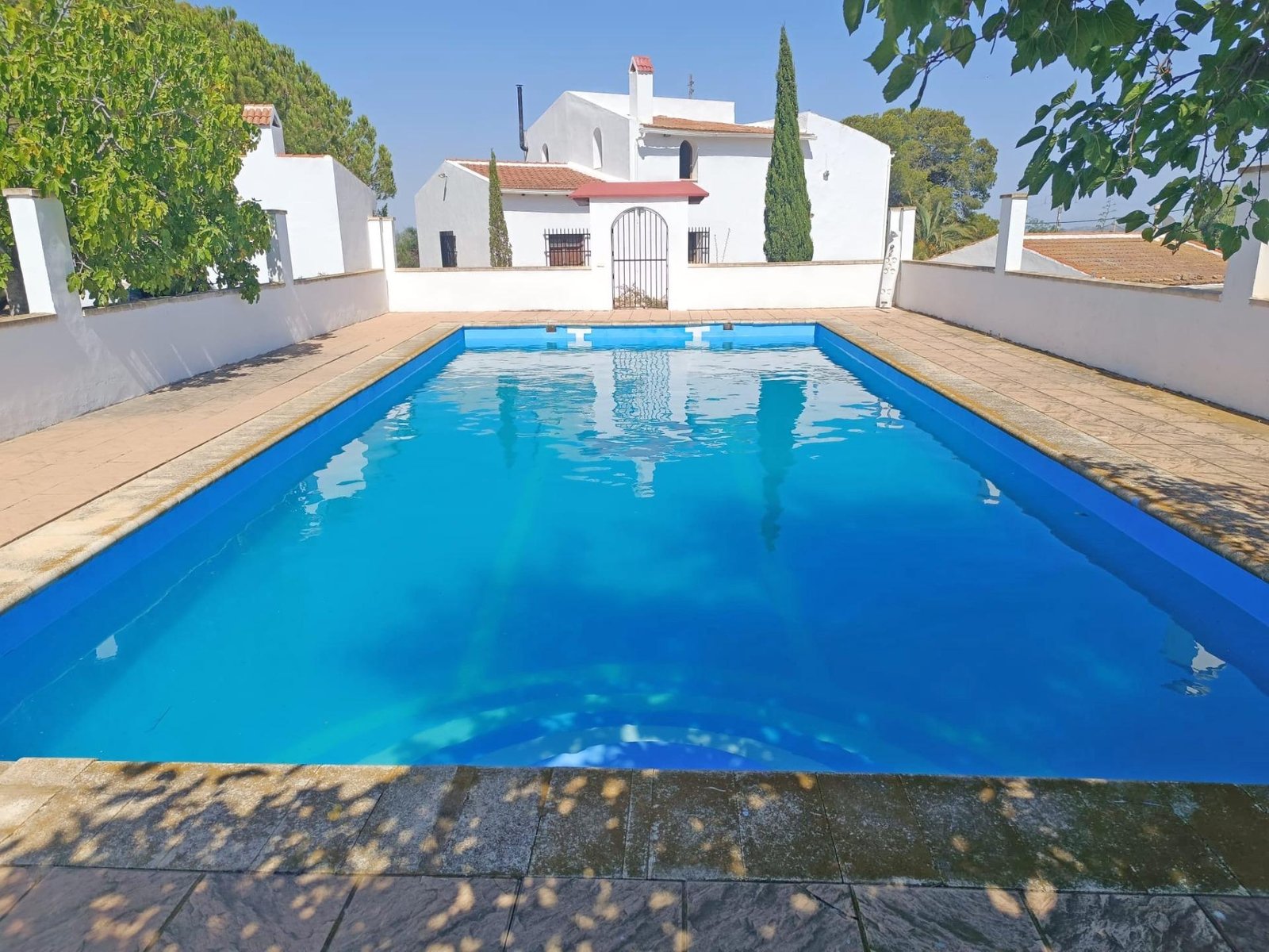 Piscina en un entorno tranquilo