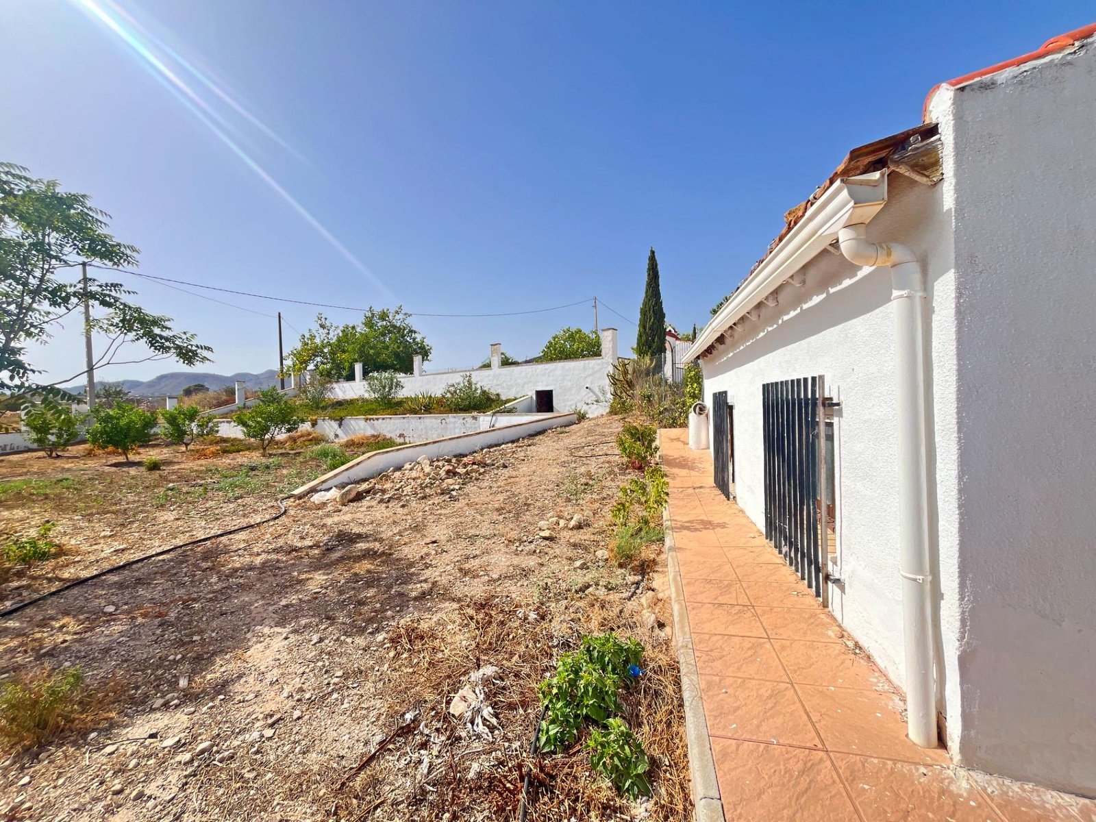 Paisaje rural con casa y terreno