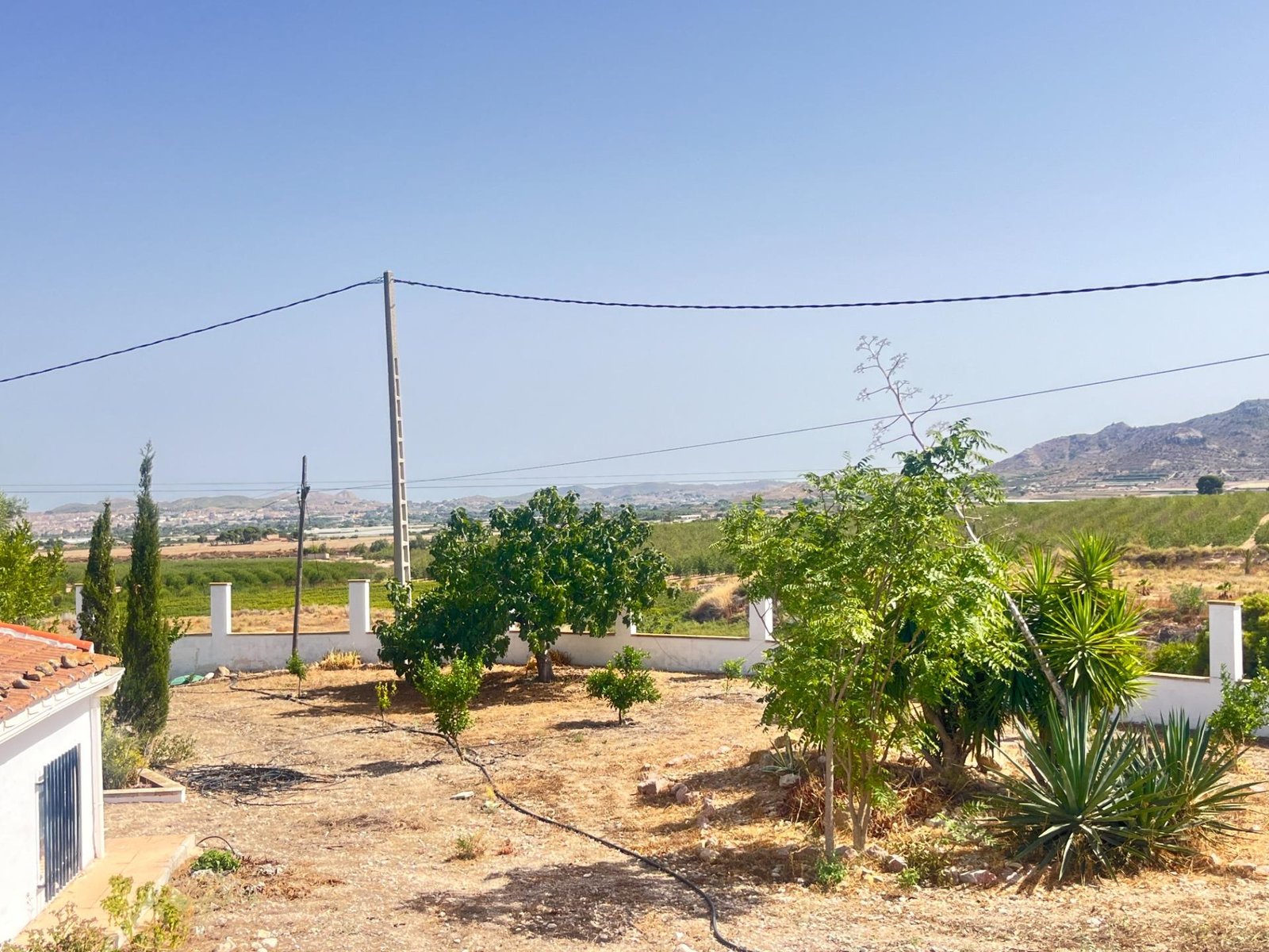 Paisaje rural con vegetación