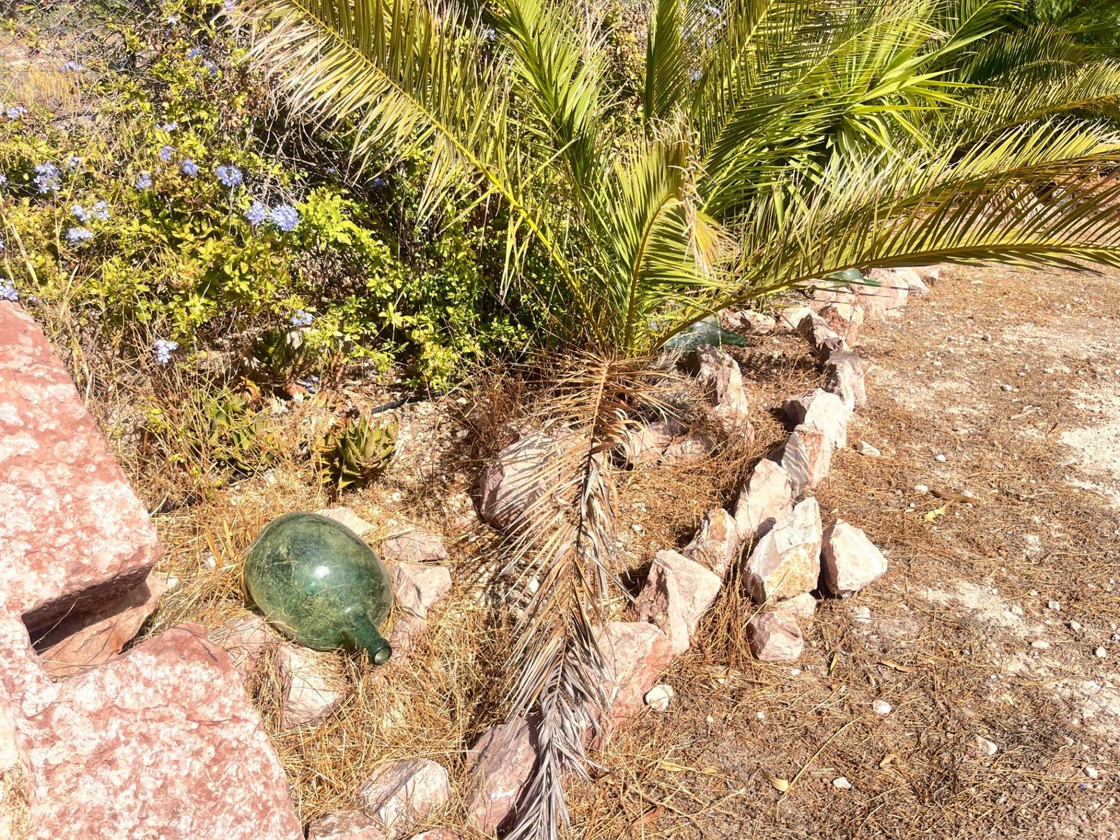 Vegetación y decoración en el jardín