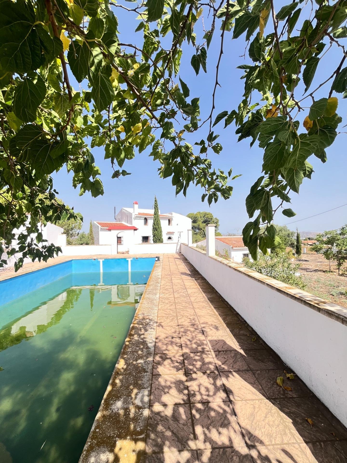 Paisaje con piscina y vegetación