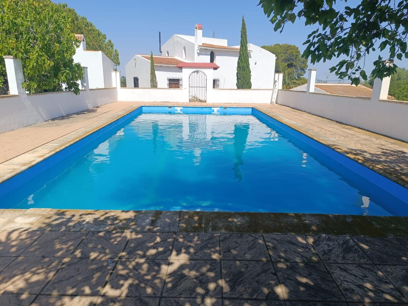 Piscina rodeada de naturaleza