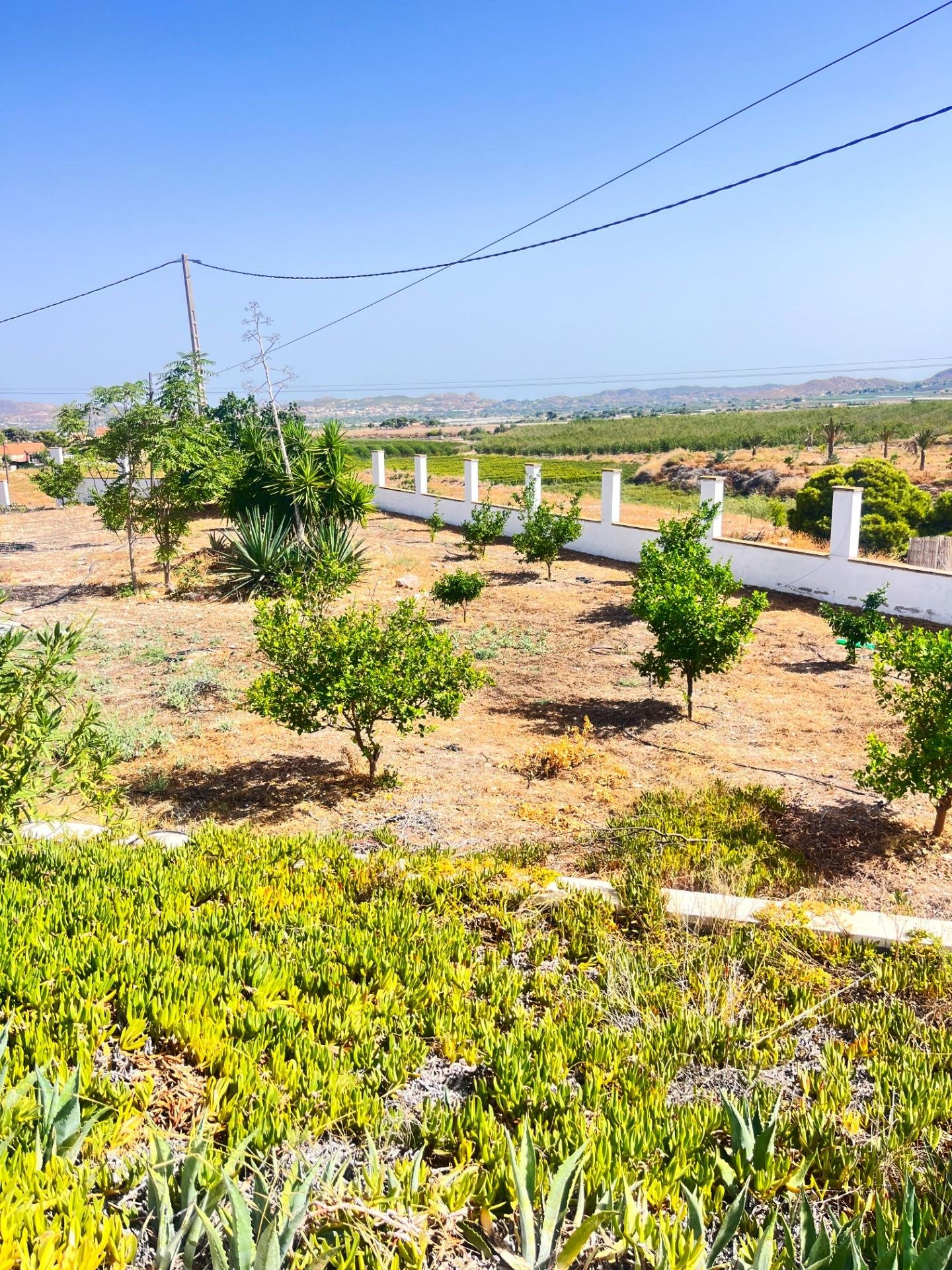 Vista de un paisaje agrícola