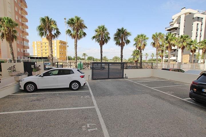 Estacionamiento con palmeras